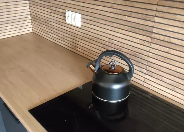 3 Pokojowe Mieszkanie Na Wylacznosc Rzeszow, Spiechowicza Appartement